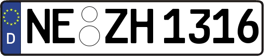 NE-ZH1316