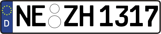 NE-ZH1317