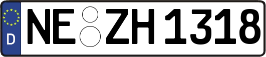 NE-ZH1318
