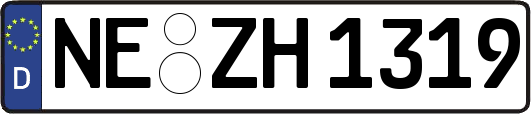 NE-ZH1319
