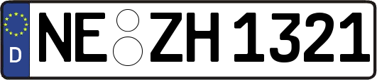 NE-ZH1321