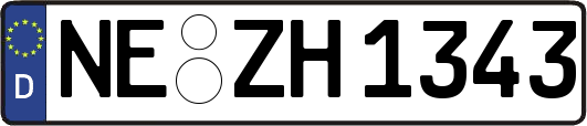 NE-ZH1343