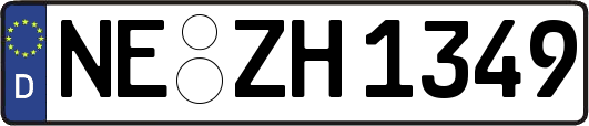 NE-ZH1349