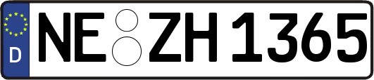 NE-ZH1365