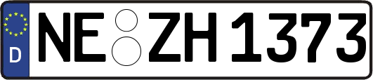 NE-ZH1373