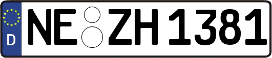 NE-ZH1381