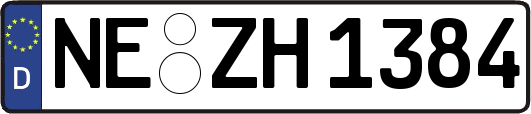 NE-ZH1384