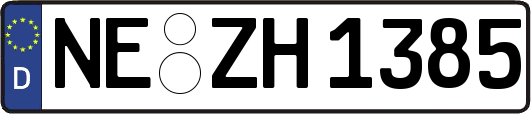 NE-ZH1385