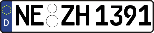 NE-ZH1391