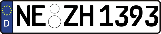 NE-ZH1393