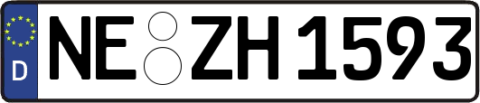 NE-ZH1593