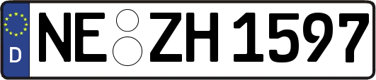 NE-ZH1597