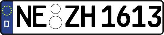 NE-ZH1613