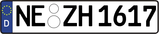 NE-ZH1617