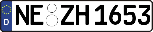 NE-ZH1653