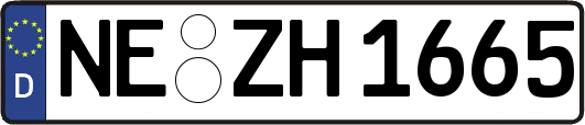 NE-ZH1665
