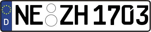 NE-ZH1703