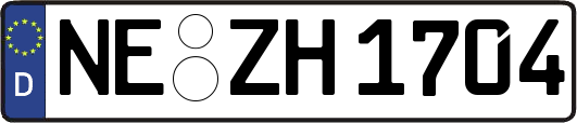 NE-ZH1704