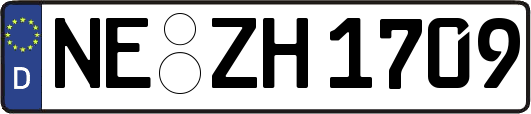 NE-ZH1709