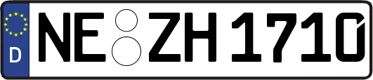 NE-ZH1710