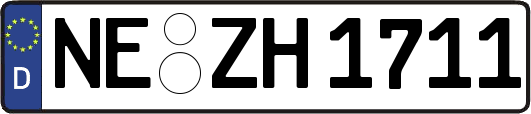NE-ZH1711