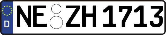 NE-ZH1713