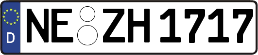 NE-ZH1717