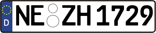 NE-ZH1729