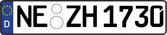 NE-ZH1730