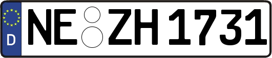 NE-ZH1731