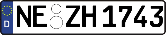 NE-ZH1743