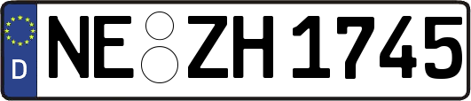 NE-ZH1745