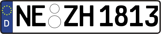NE-ZH1813