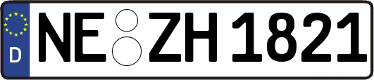 NE-ZH1821