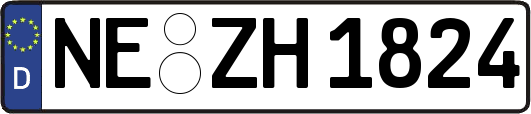 NE-ZH1824