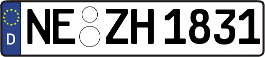 NE-ZH1831