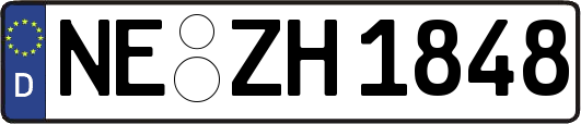 NE-ZH1848