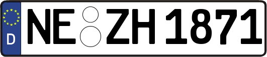 NE-ZH1871