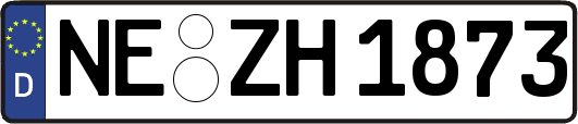 NE-ZH1873