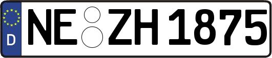 NE-ZH1875