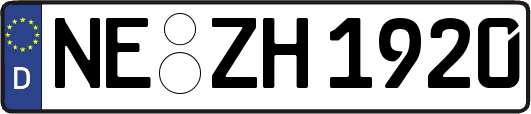 NE-ZH1920