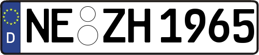 NE-ZH1965