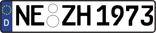 NE-ZH1973