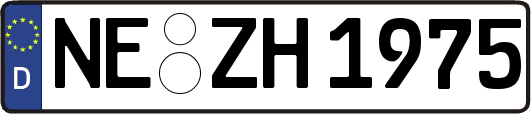 NE-ZH1975