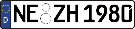 NE-ZH1980