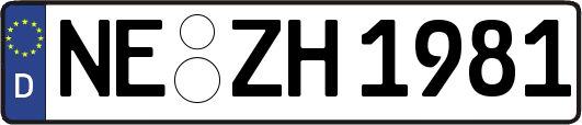 NE-ZH1981