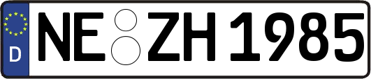 NE-ZH1985