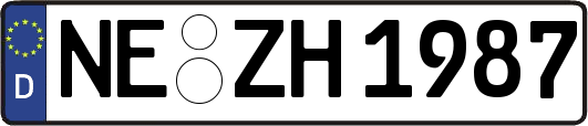NE-ZH1987