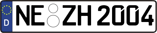 NE-ZH2004