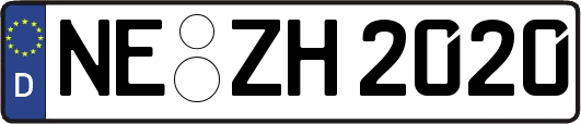 NE-ZH2020